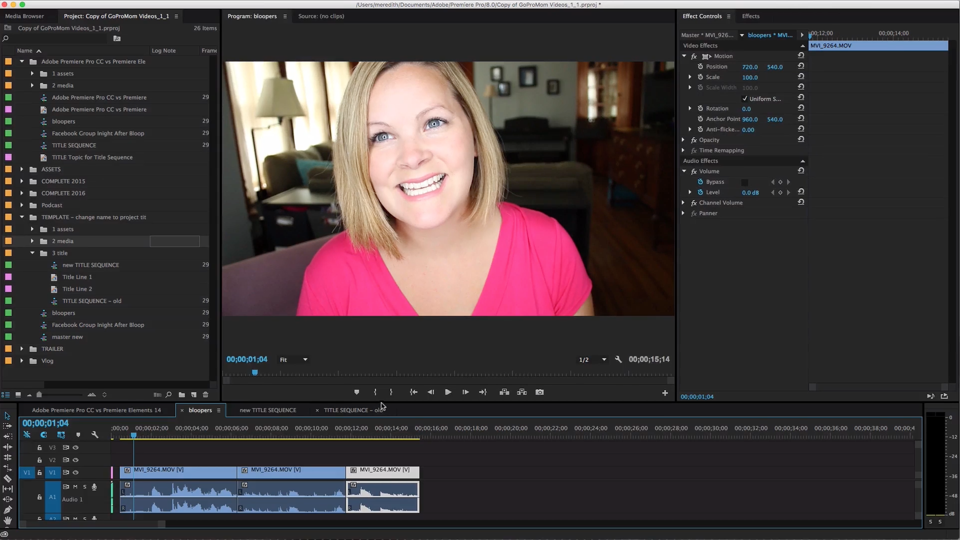 Adobe Premiere Pro vs Premiere Elements What s the Difference Meredith Marsh