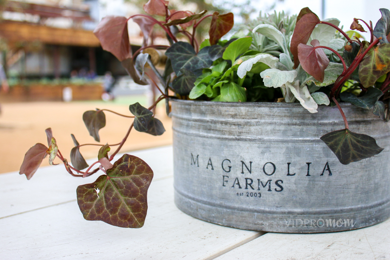 At Magnolia Market, Even Picnic Tables By The Food Trucks Are Perfectly Decorated