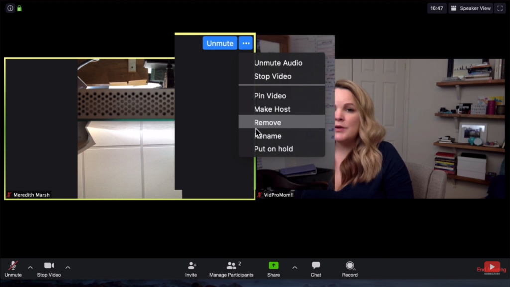 Zoom Tips for Virtual Meetings - Meredith Marsh (VidProMom)