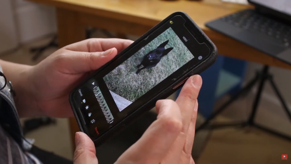editing video using Apple's default "photos" app