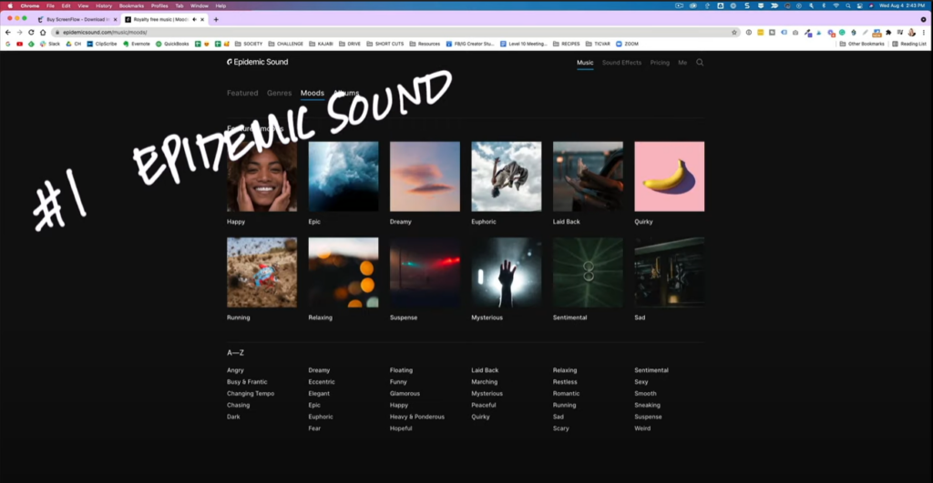 This is where I get all of my background music and sound effects for YouTube and social media. It’s not free, but it is affordable. They have a huge library of music with tons of songs from all genres and sound effects as well.

You can see for yourself, and even try it out for 30 days free using the link. Seriously, I can’t say enough about Epidemic Sound. I’ve been using it for 4 years now. They're always adding new music, and it's just the best.

