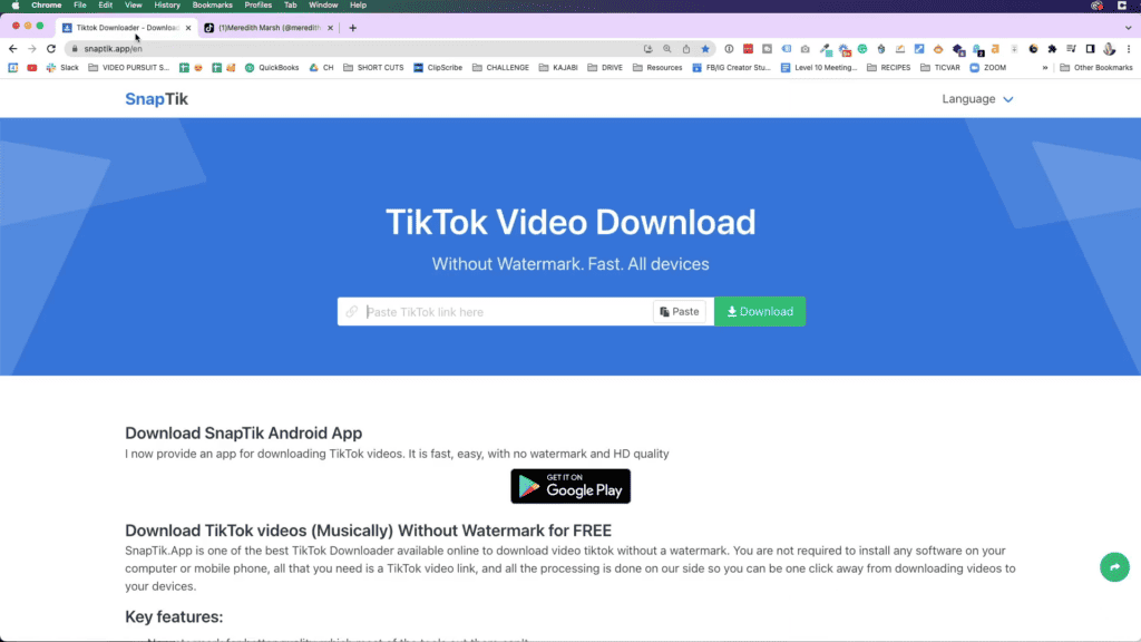 Remove TikTok Watermark in SnapTik