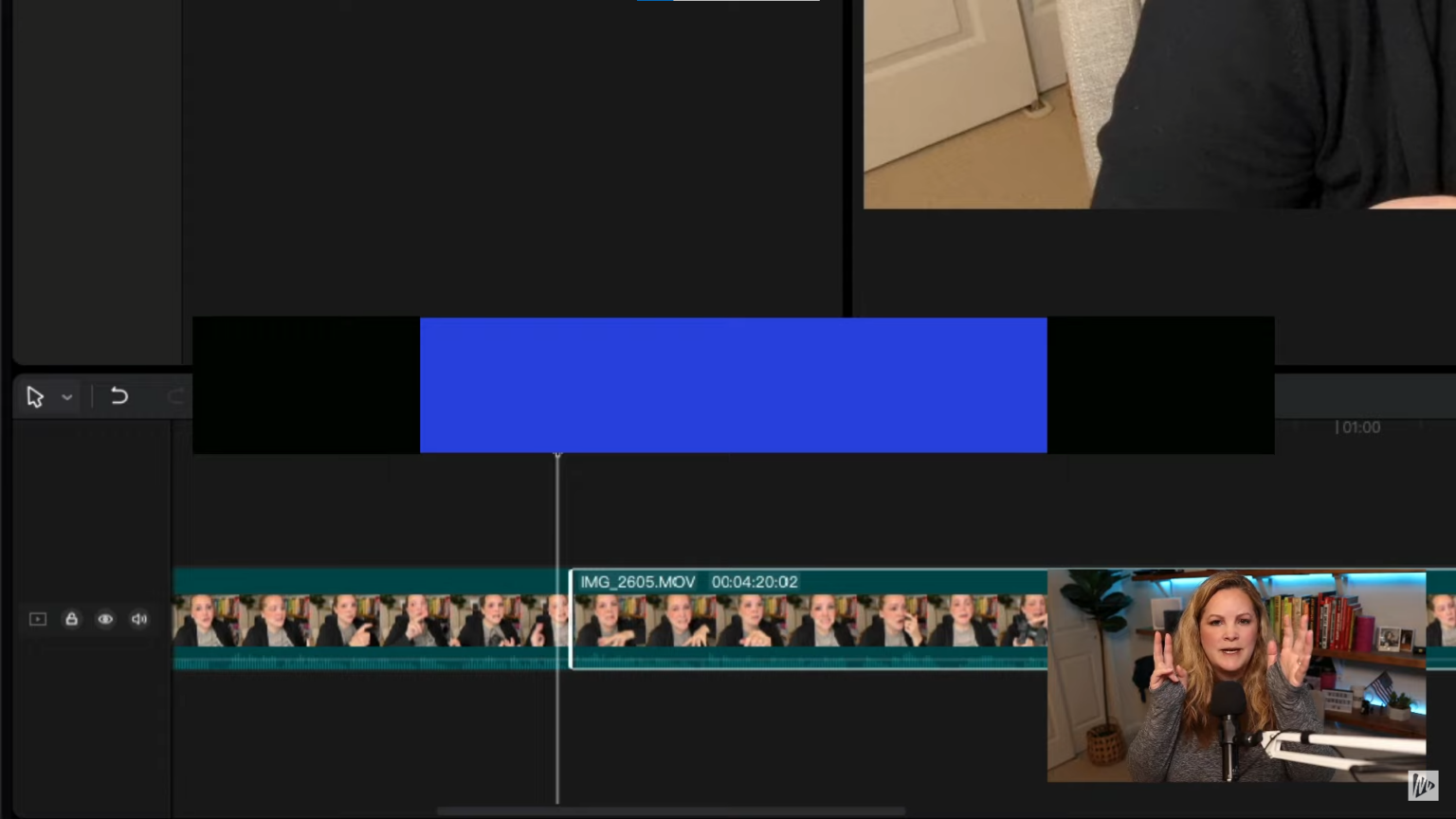 CapCut for Desktop - Tutorial for Beginners – Meredith Marsh